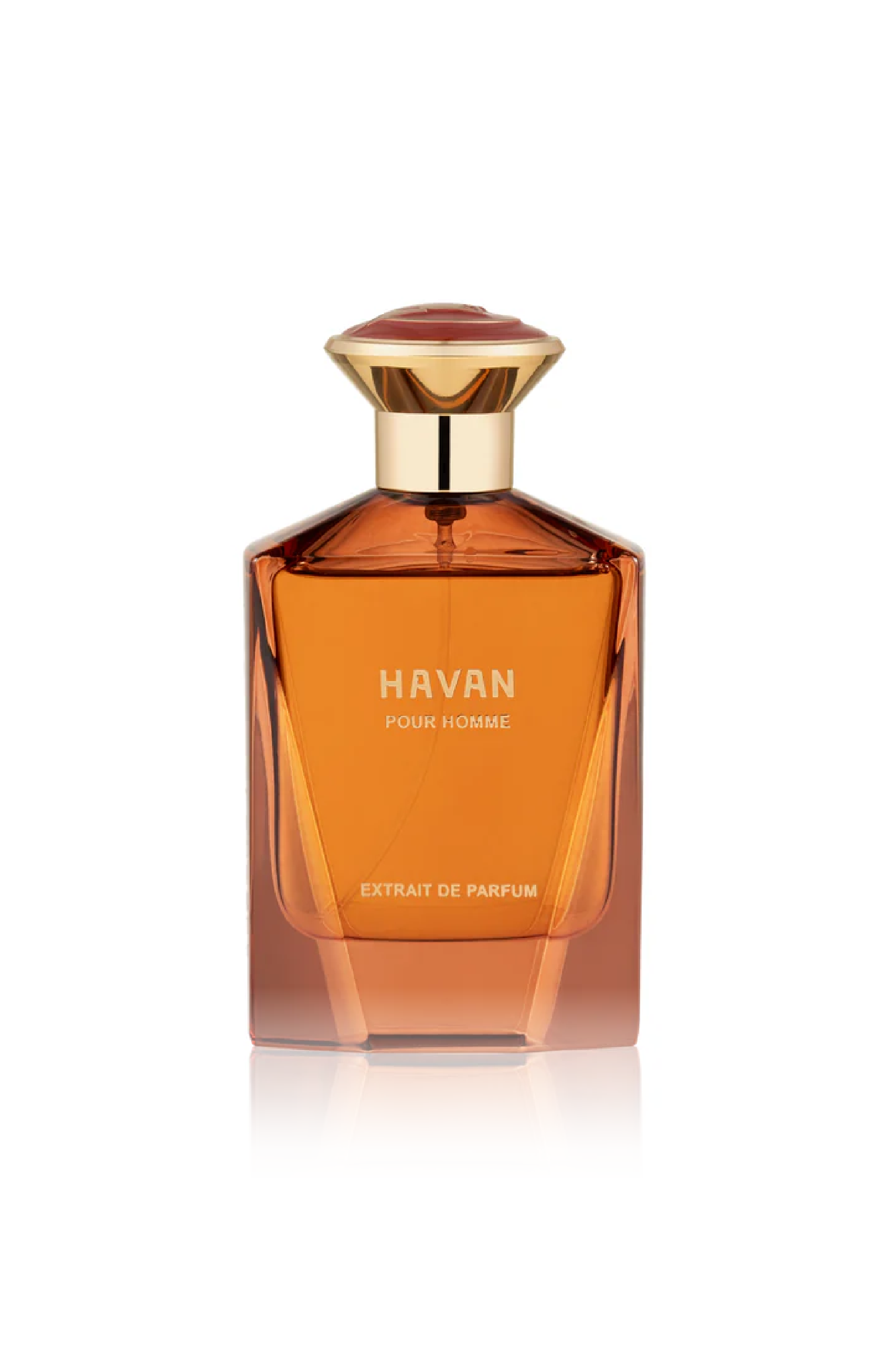 Fragance Story HAVAN EXTRAIT M 3.4 Oz