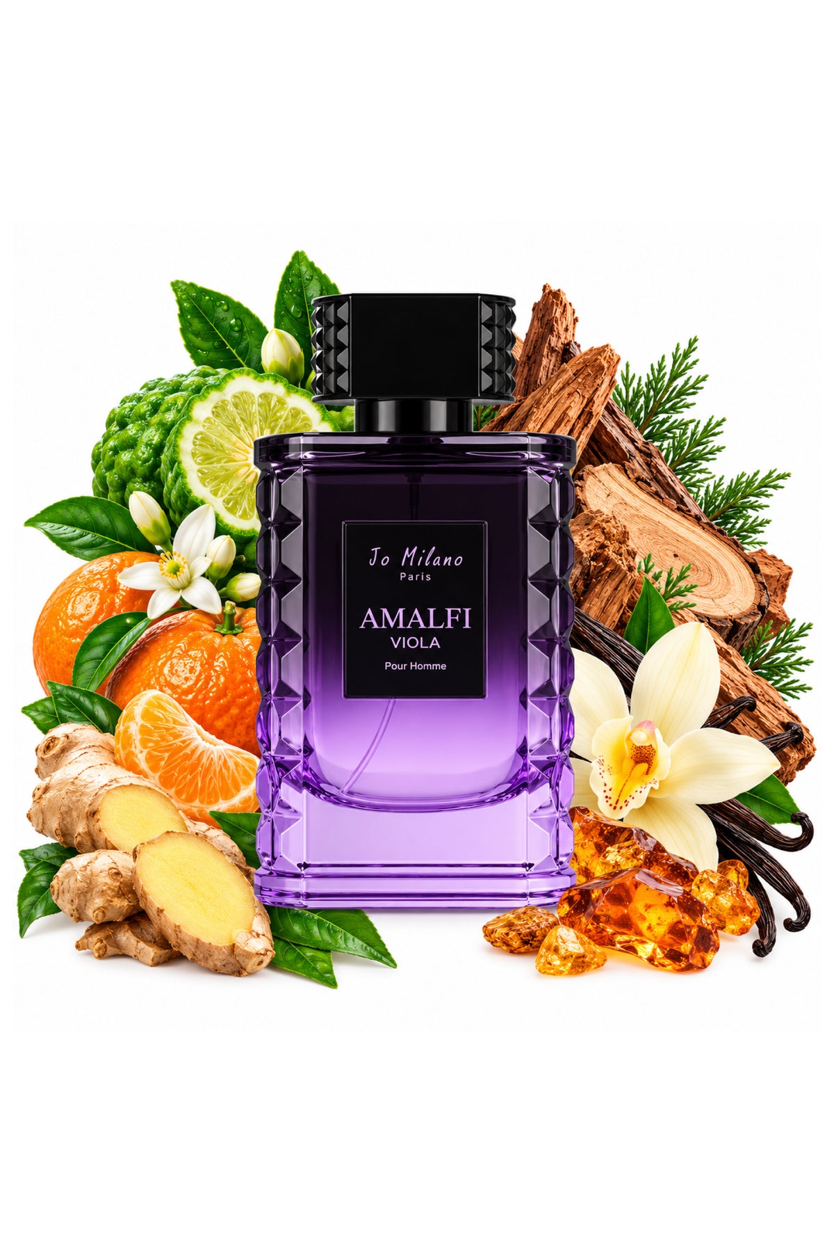 Jo Milano Paris Amalfi Viola Pour Homme EDP 3.4 Oz